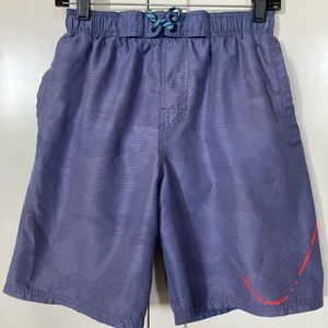 Nike Swim Trunks, Blue/Grey Striped
